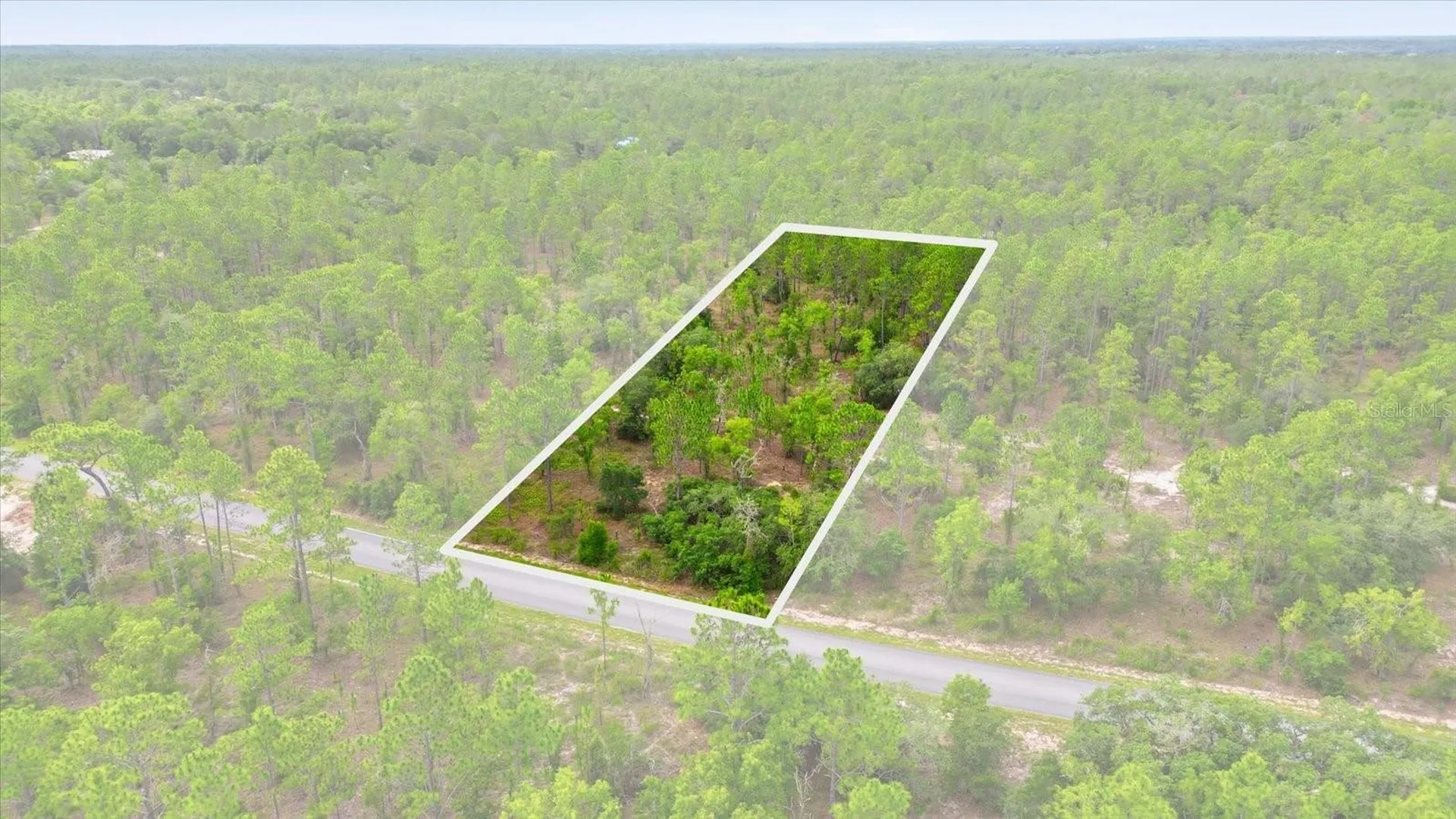 0000 SW Plaza Court Dunnellon FL 34431