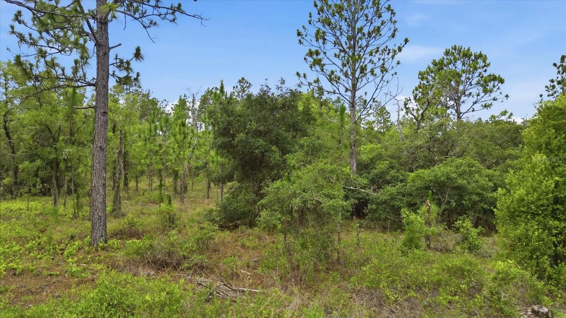 0000 SW Plaza Court Dunnellon FL 34431
