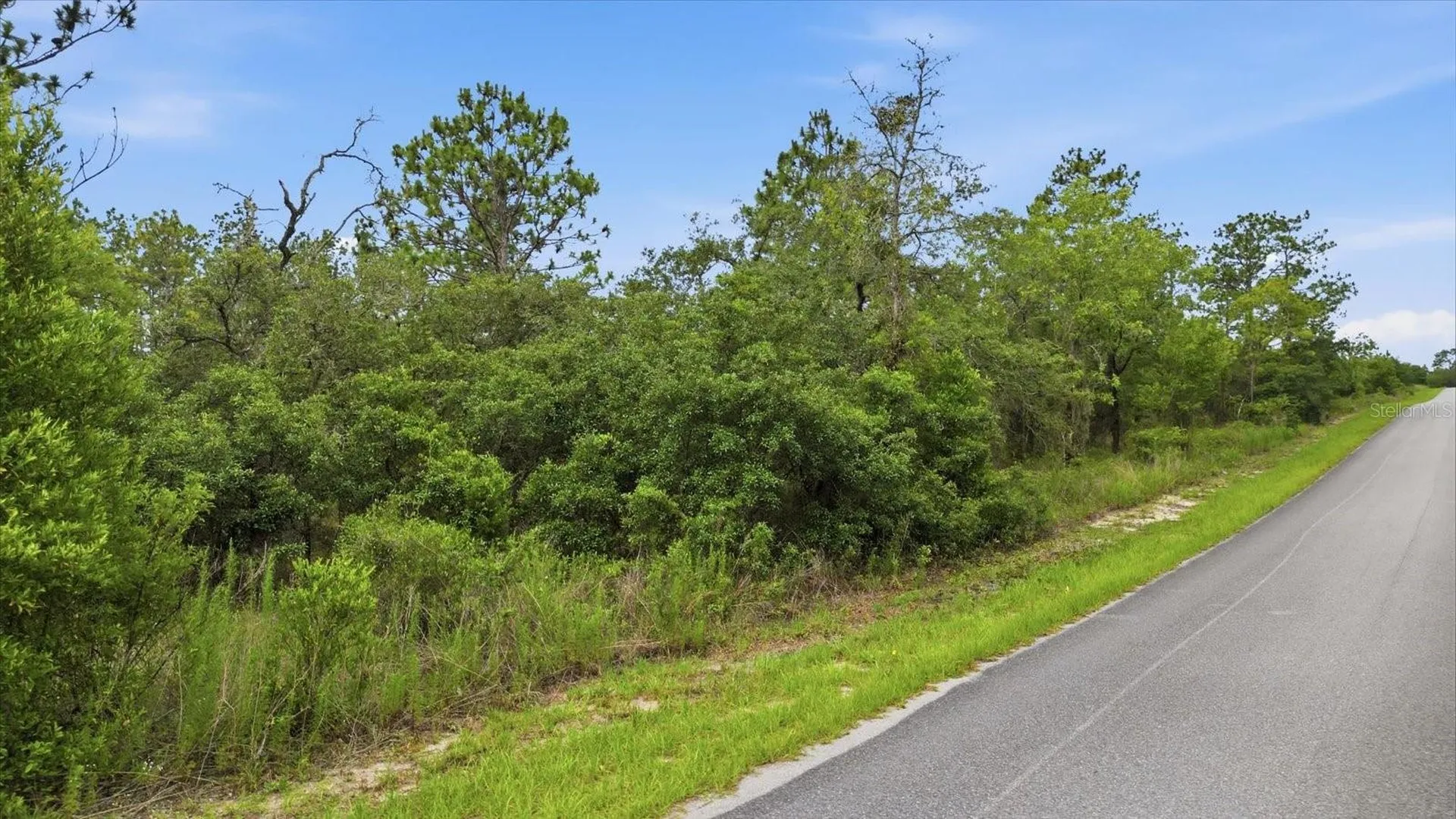0000 SW Plaza Court Dunnellon FL 34431