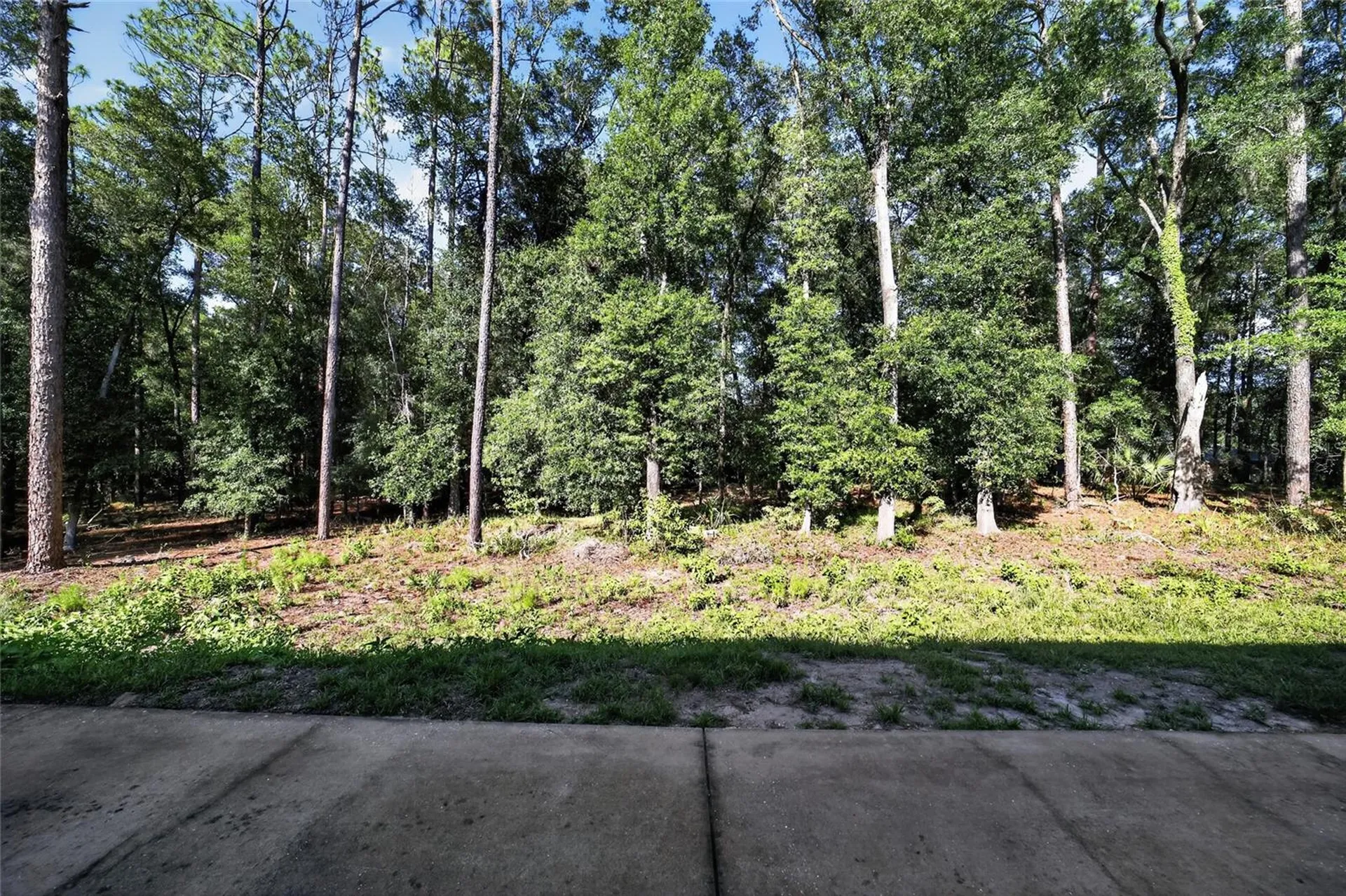 7705 SW 186 Avenue Dunnellon FL 34432