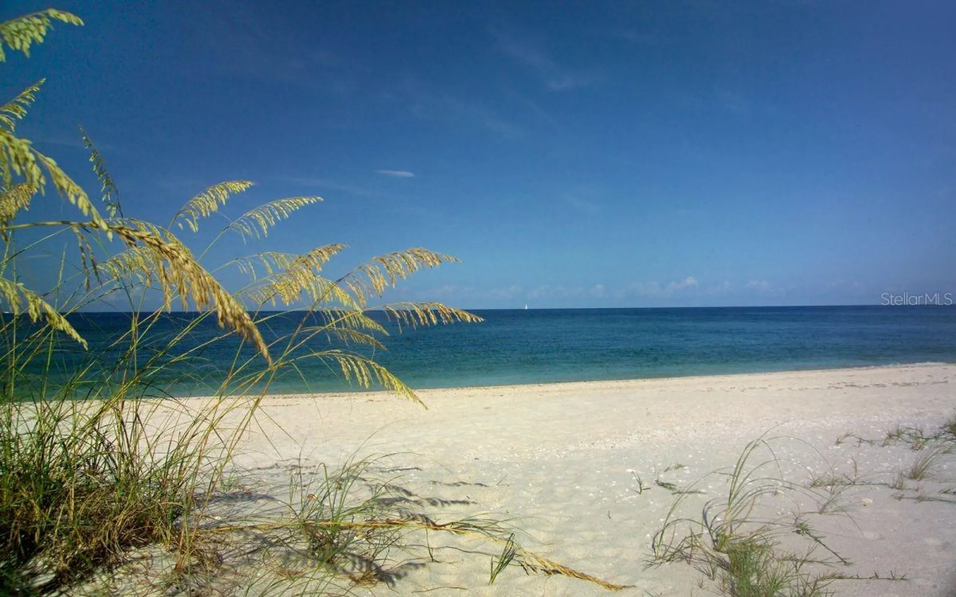 2000 Harbourside Drive Longboat Key FL 34228
