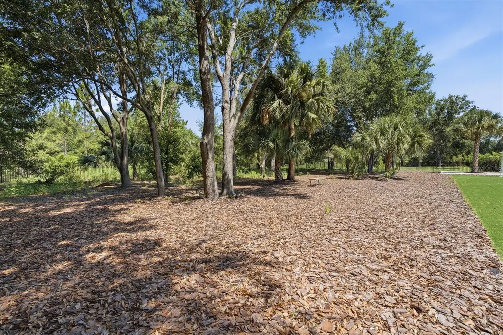 15800 Pendio Drive Bella Collina FL 34756