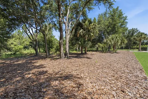 15800 Pendio Drive Bella Collina FL 34756