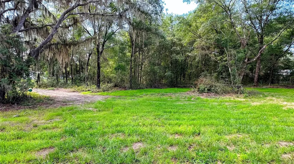 115 Betsy Ross Place Satsuma FL 32189