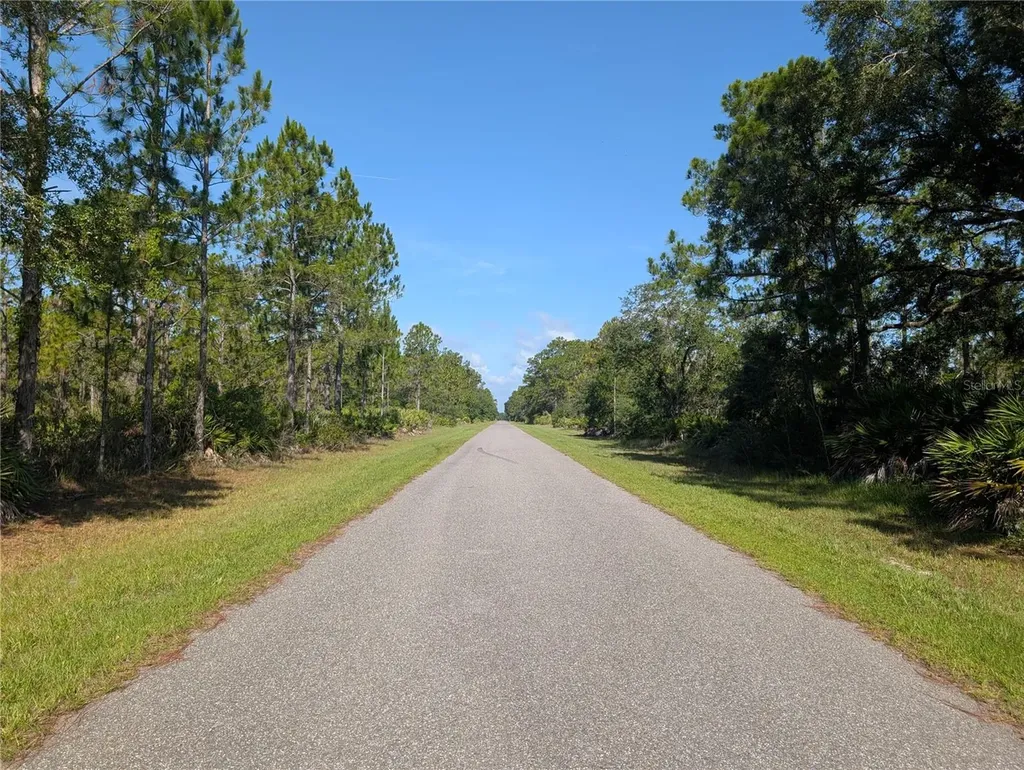 819 & 821 Allamanda Drive Indian Lake Estates FL 33855