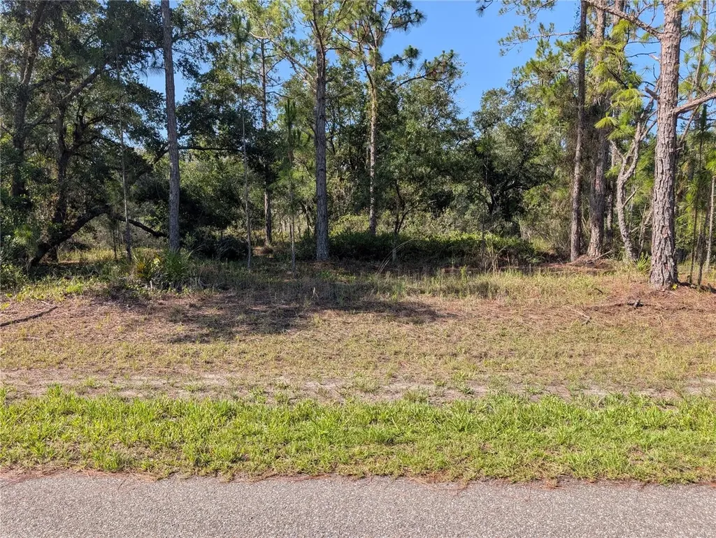 819 & 821 Allamanda Drive Indian Lake Estates FL 33855