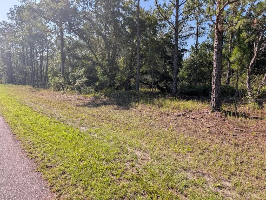819 & 821 Allamanda Drive Indian Lake Estates FL 33855
