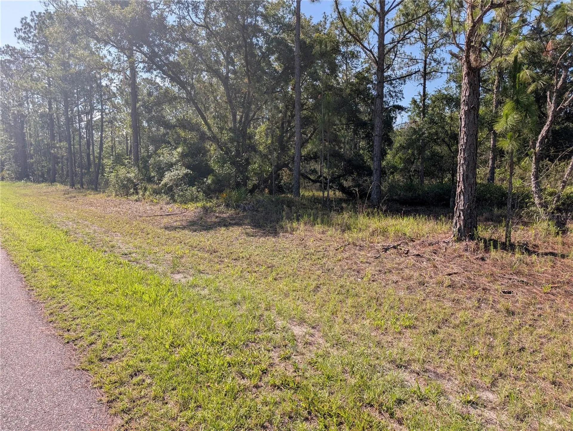 819 & 821 Allamanda Drive Indian Lake Estates FL 33855