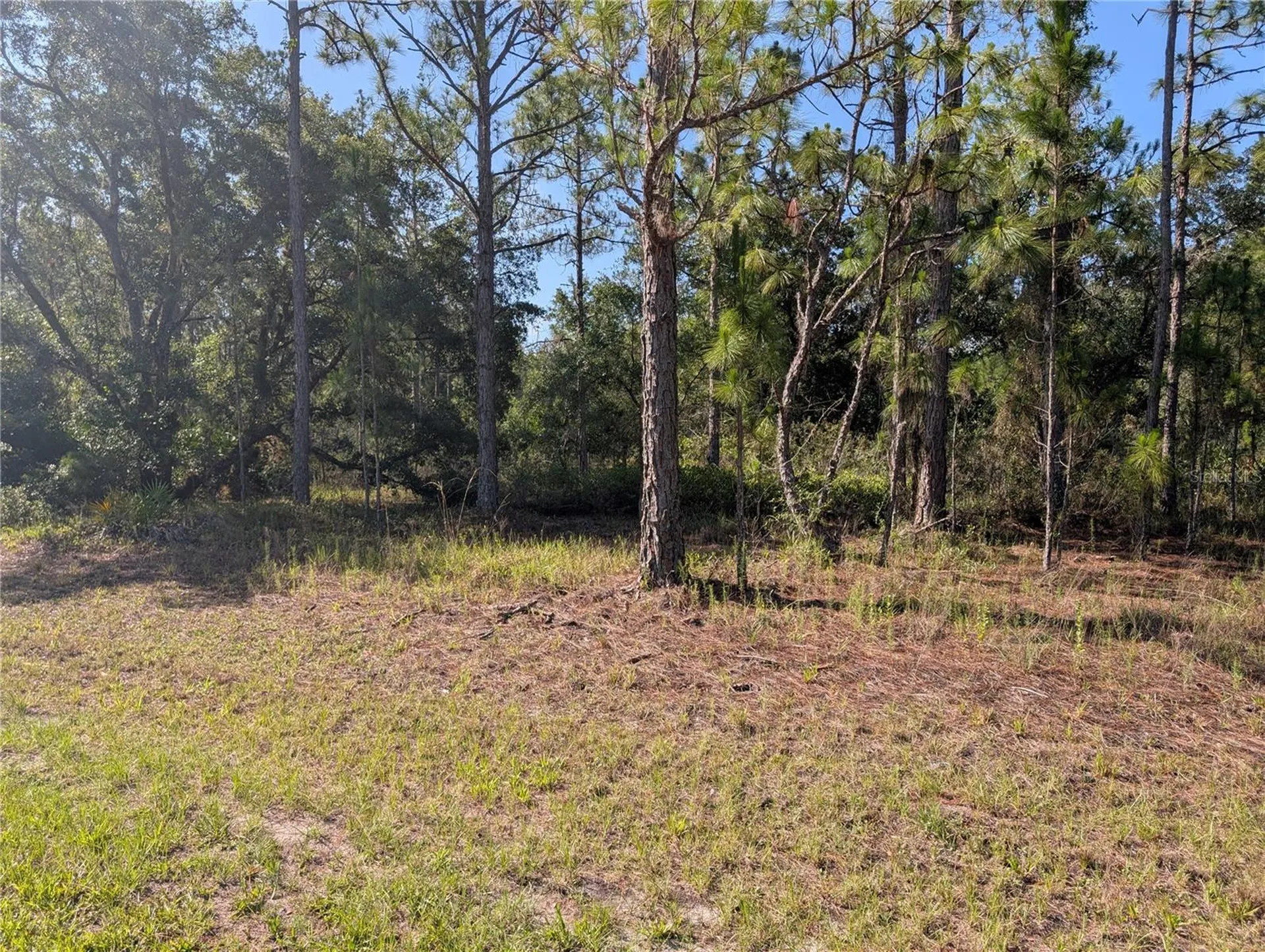 819 & 821 Allamanda Drive Indian Lake Estates FL 33855