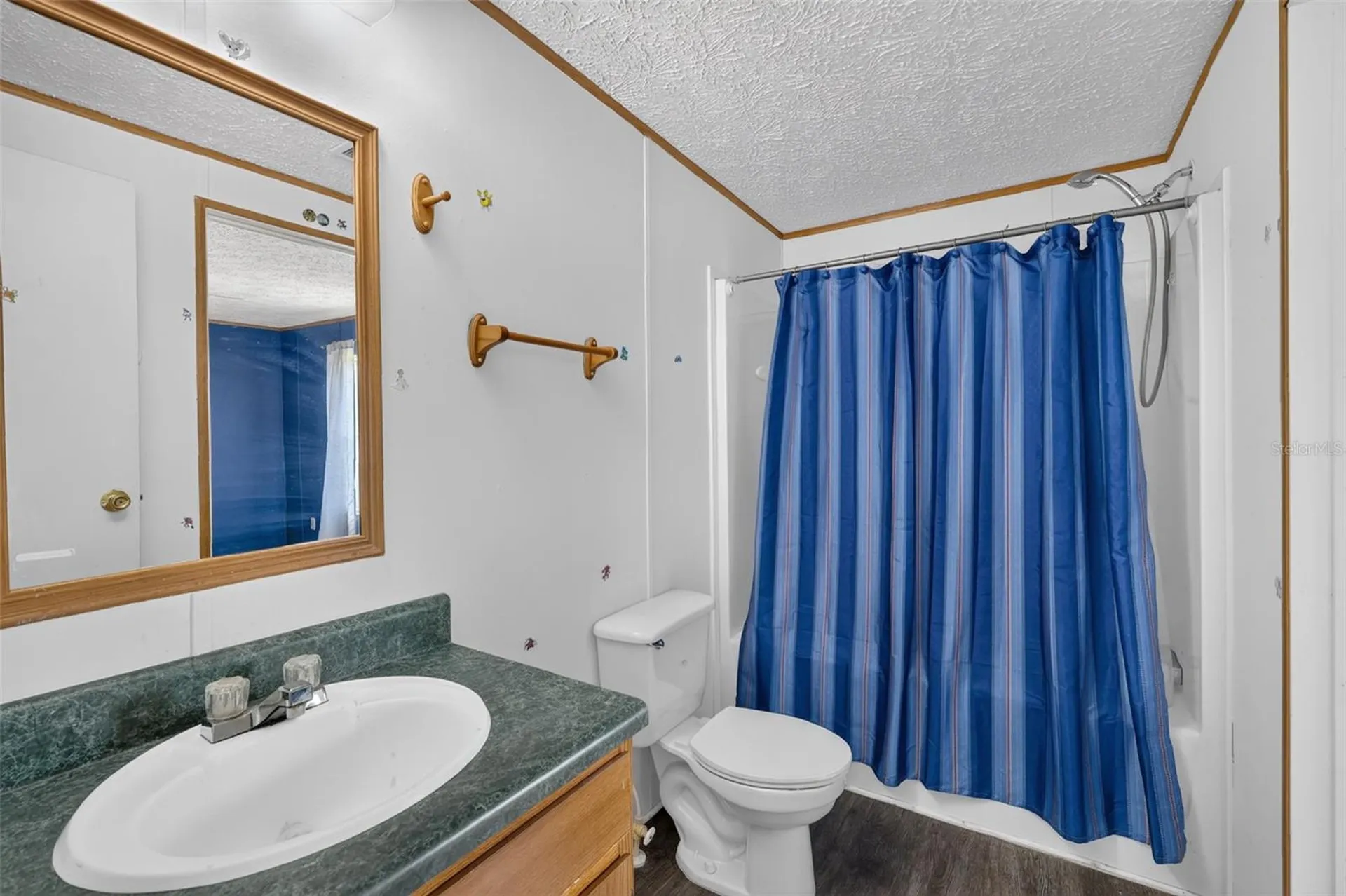 311 SE Highway 42 Summerfield FL 34491