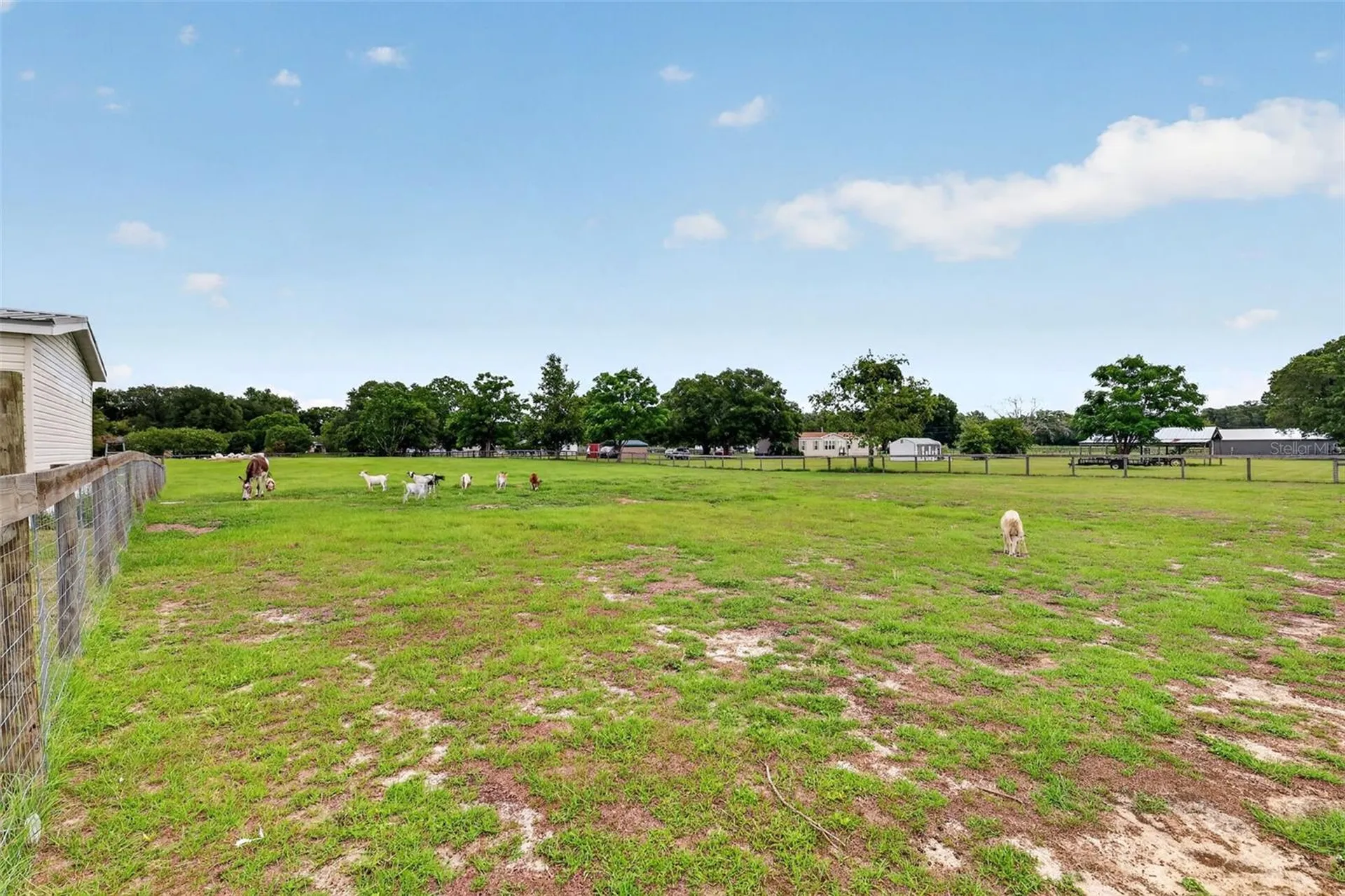 311 SE Highway 42 Summerfield FL 34491