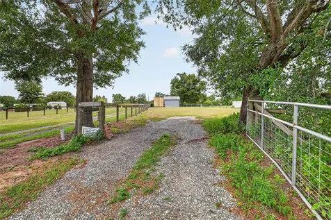 311 SE Highway 42 Summerfield FL 34491