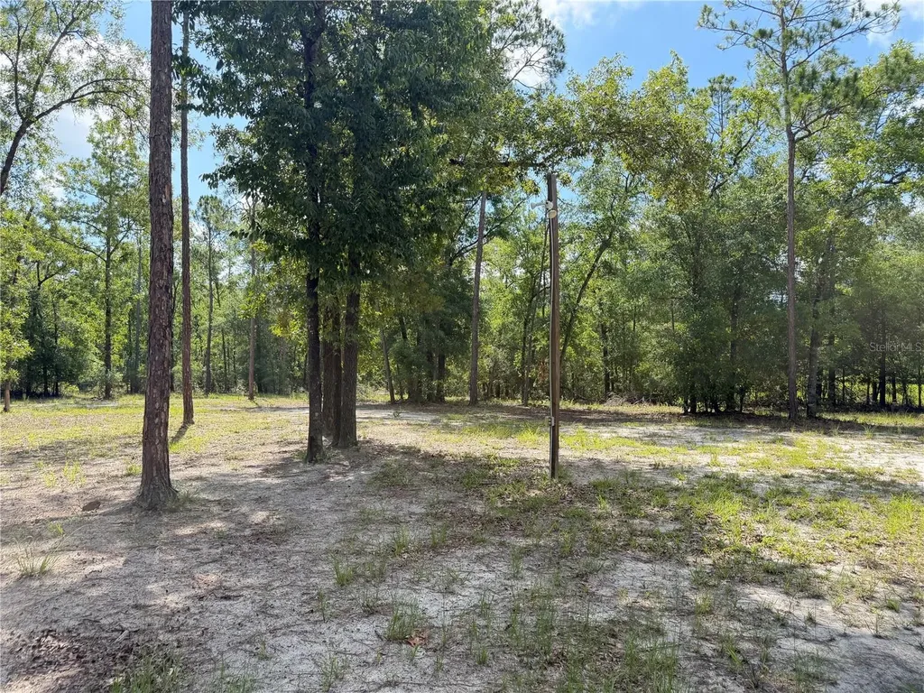 11160 NW 5th Avenue Branford FL 32008