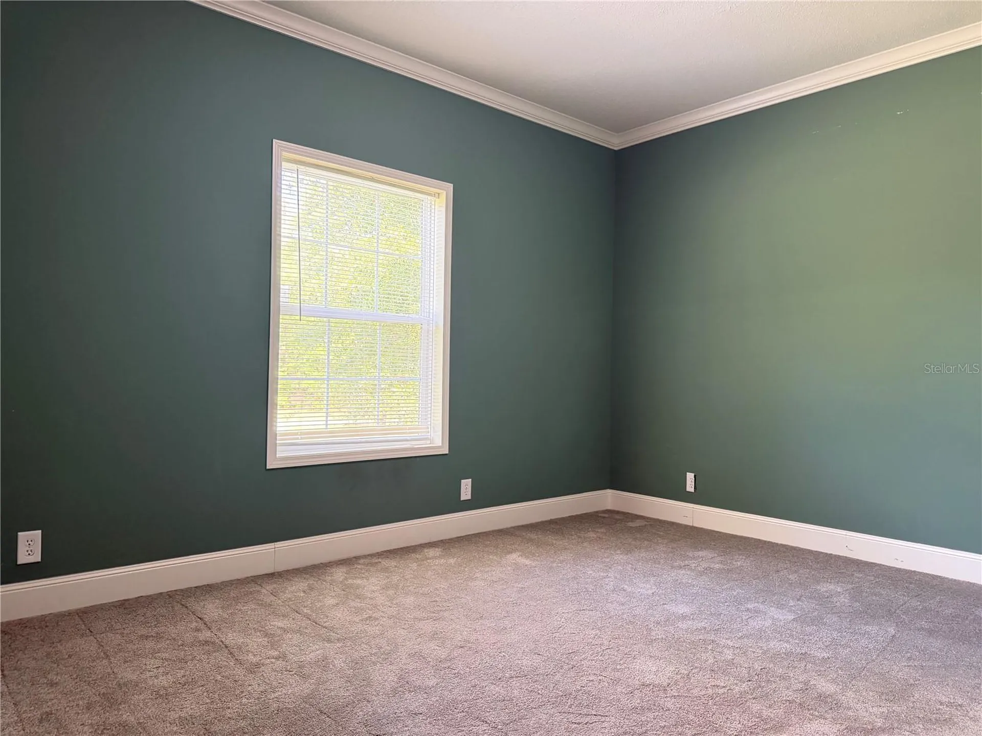 11160 NW 5th Avenue Branford FL 32008