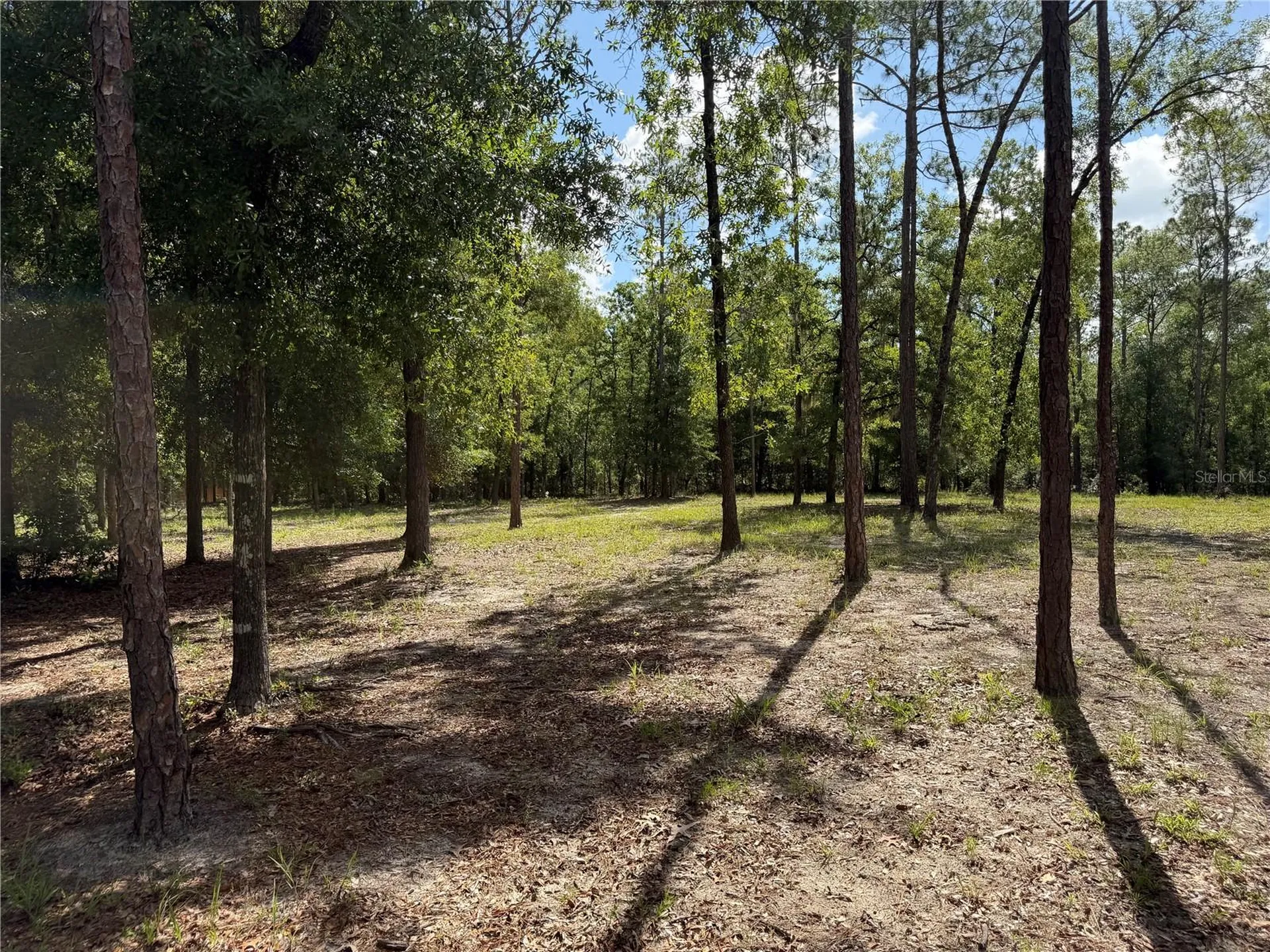 11160 NW 5th Avenue Branford FL 32008