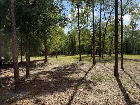 11160 NW 5th Avenue Branford FL 32008