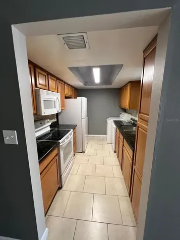 2634 Lemon Tree Lane Orlando FL 32839