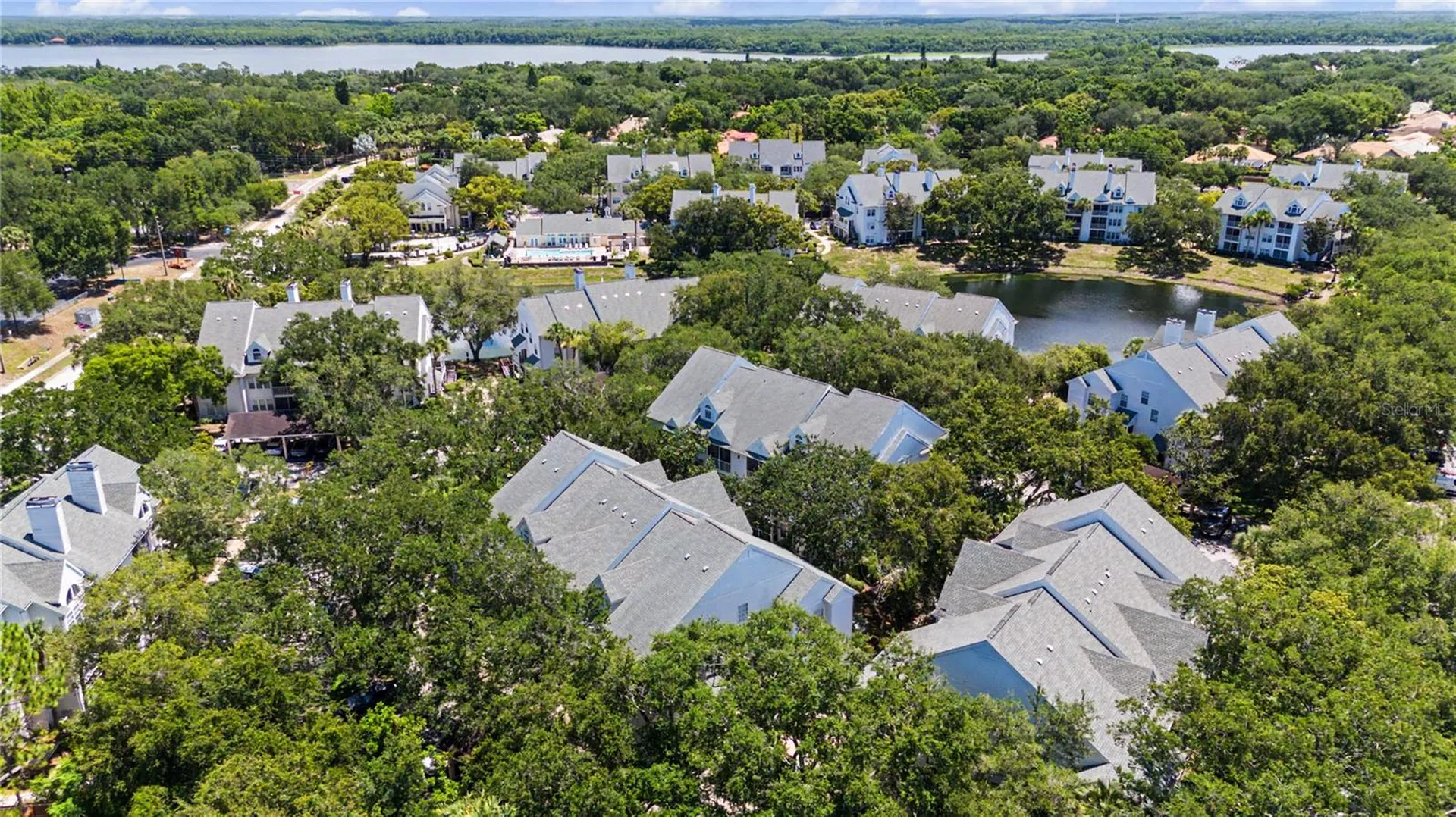 3266 Haviland Court Palm Harbor FL 34684