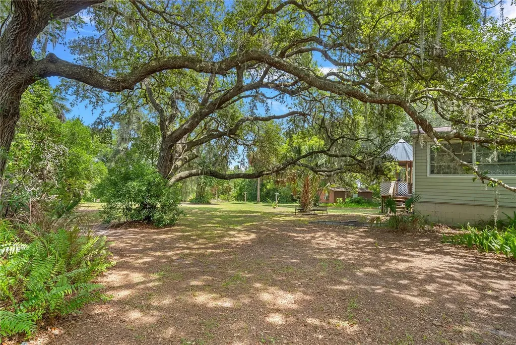 26015 Sackamaxon Drive Sorrento FL 32776