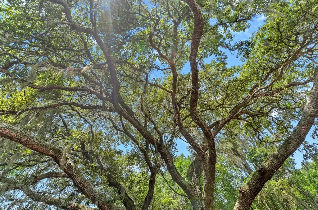 26015 Sackamaxon Drive Sorrento FL 32776