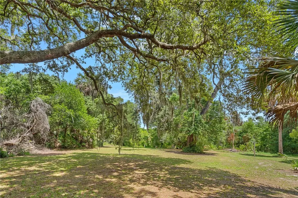26015 Sackamaxon Drive Sorrento FL 32776