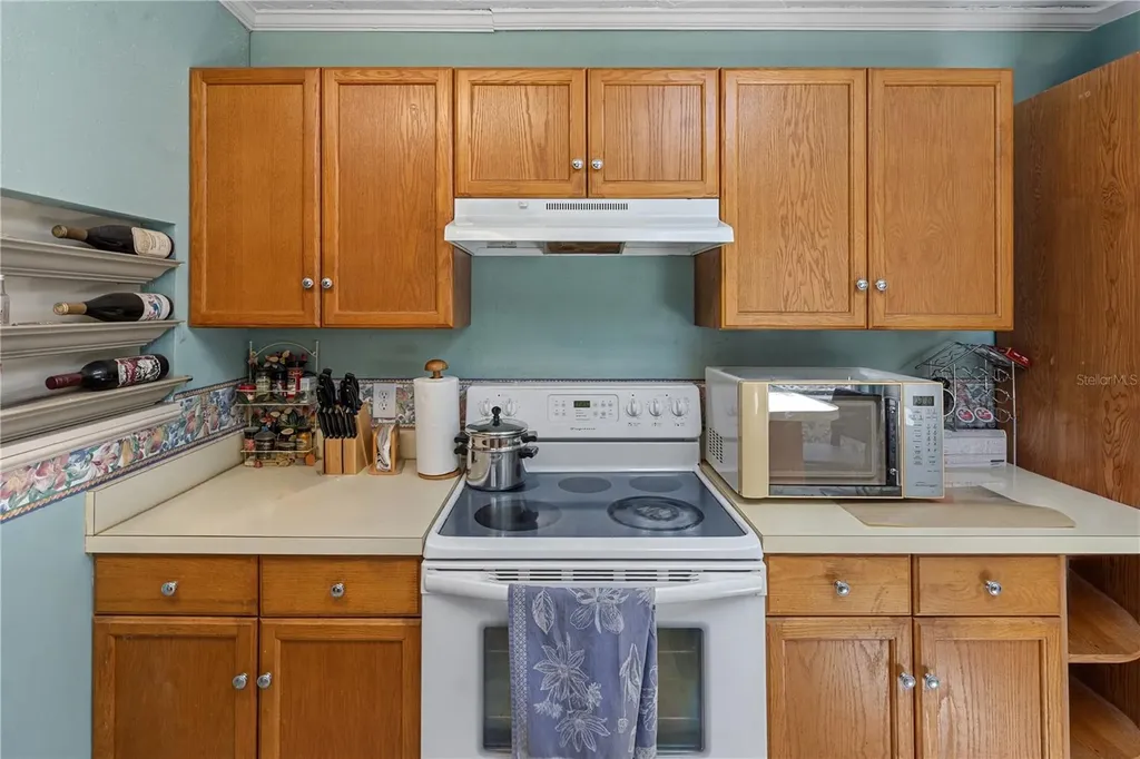 26015 Sackamaxon Drive Sorrento FL 32776