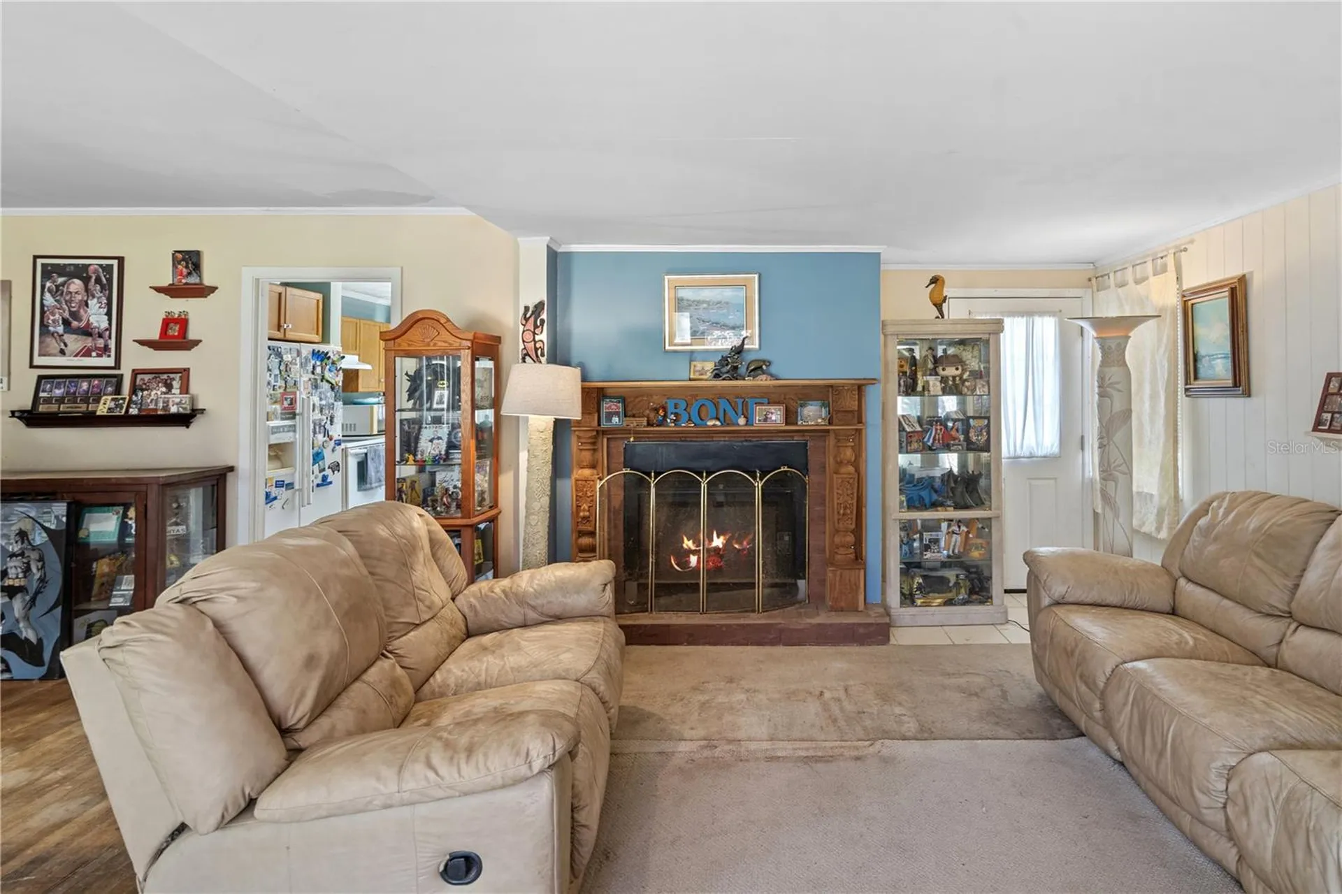 26015 Sackamaxon Drive Sorrento FL 32776