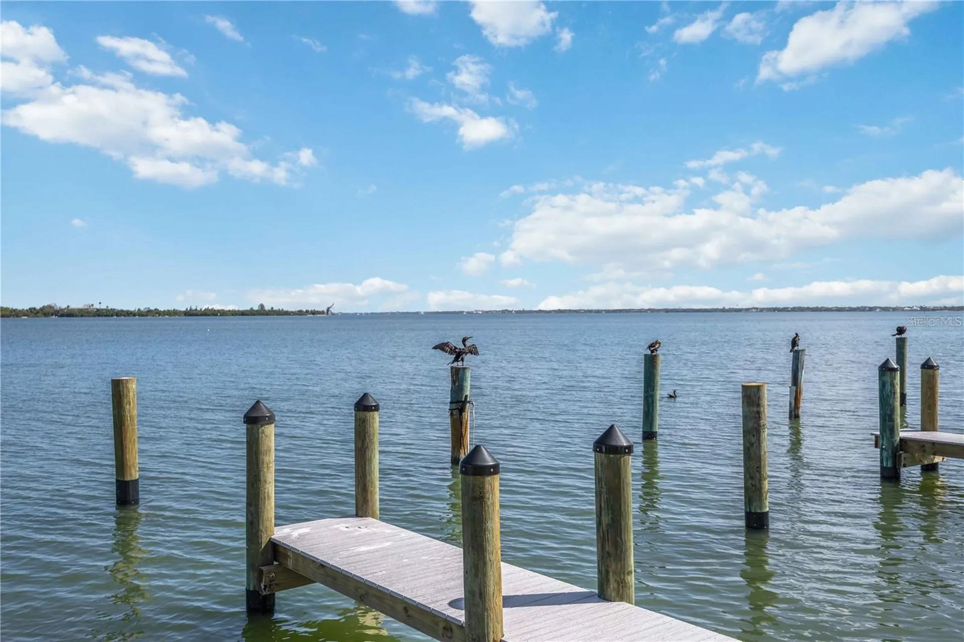 765 John Ringling Boulevard Sarasota FL 34236