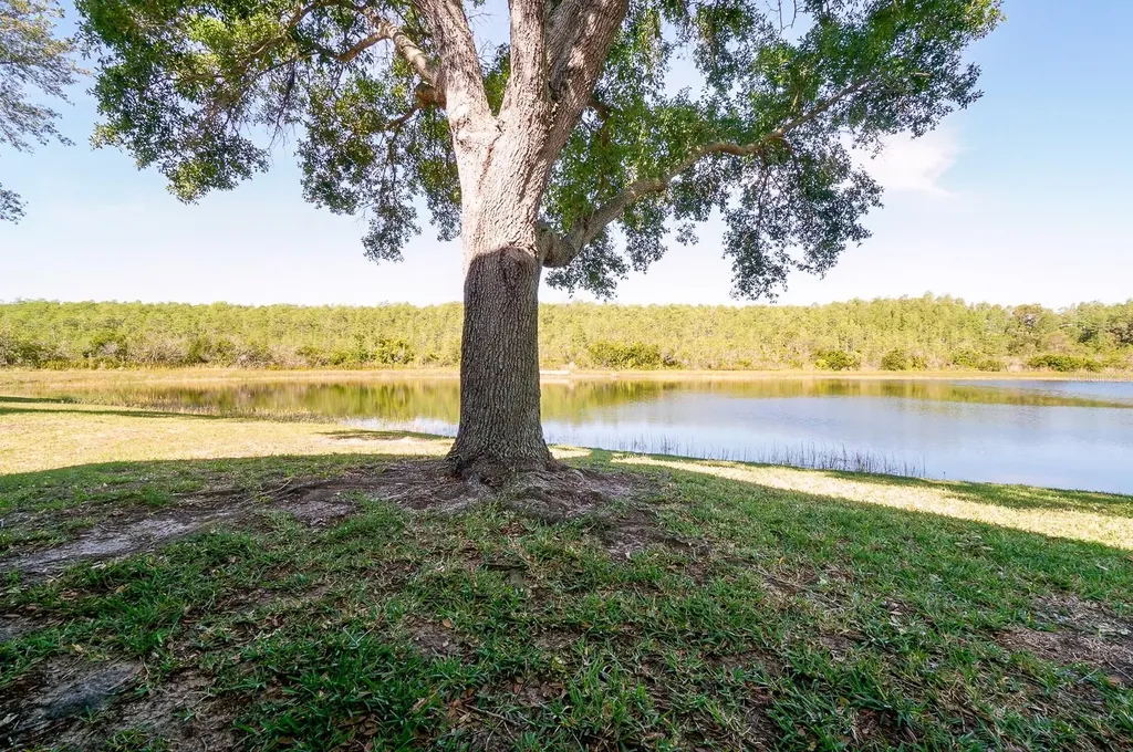 13518 Briarmoor Court Orlando FL 32837