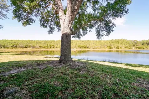 13518 Briarmoor Court Orlando FL 32837