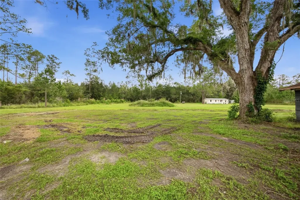 13216 NE 140th Street Waldo FL 32694