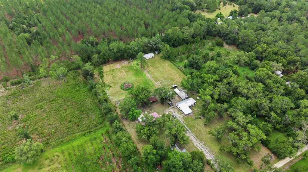 13216 NE 140th Street Waldo FL 32694