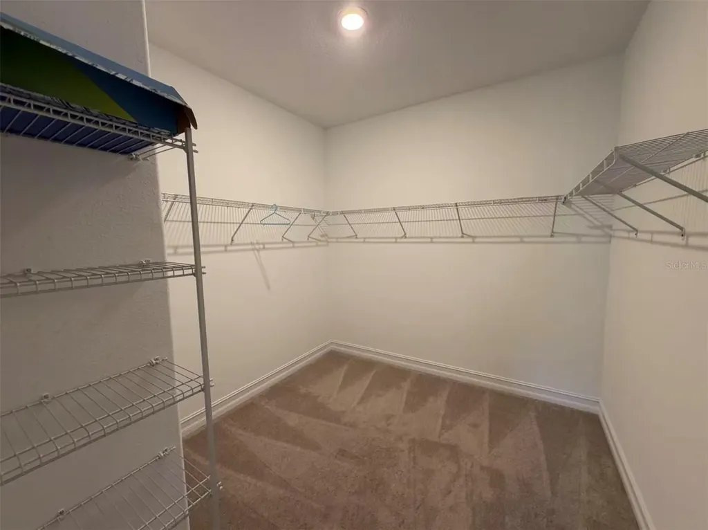 4565 Ancona Way Wesley Chapel FL 33543
