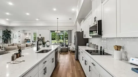 30653 Prestwick Avenue Sorrento FL 32776