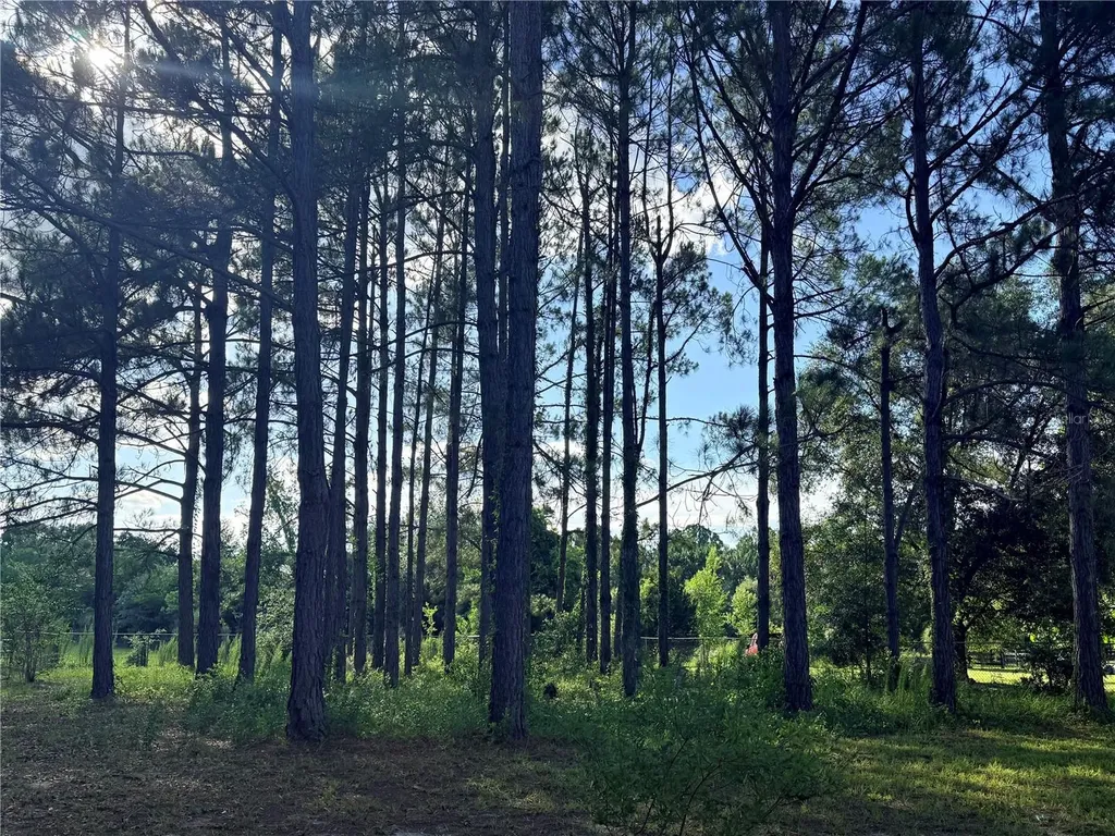 259 SE Rattler Court High Springs FL 32643