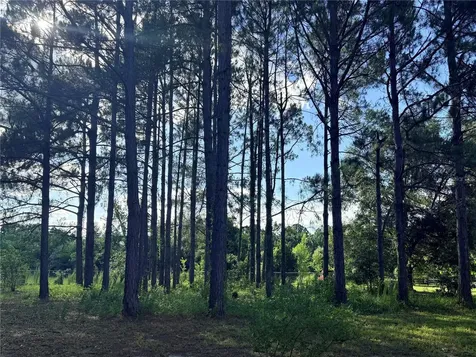 259 SE Rattler Court High Springs FL 32643