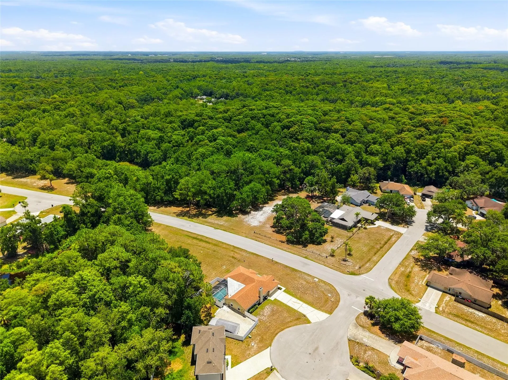 5323 Eagle Boulevard Land O Lakes FL 34639