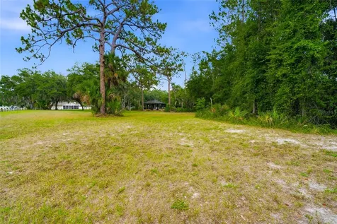 5323 Eagle Boulevard Land O Lakes FL 34639