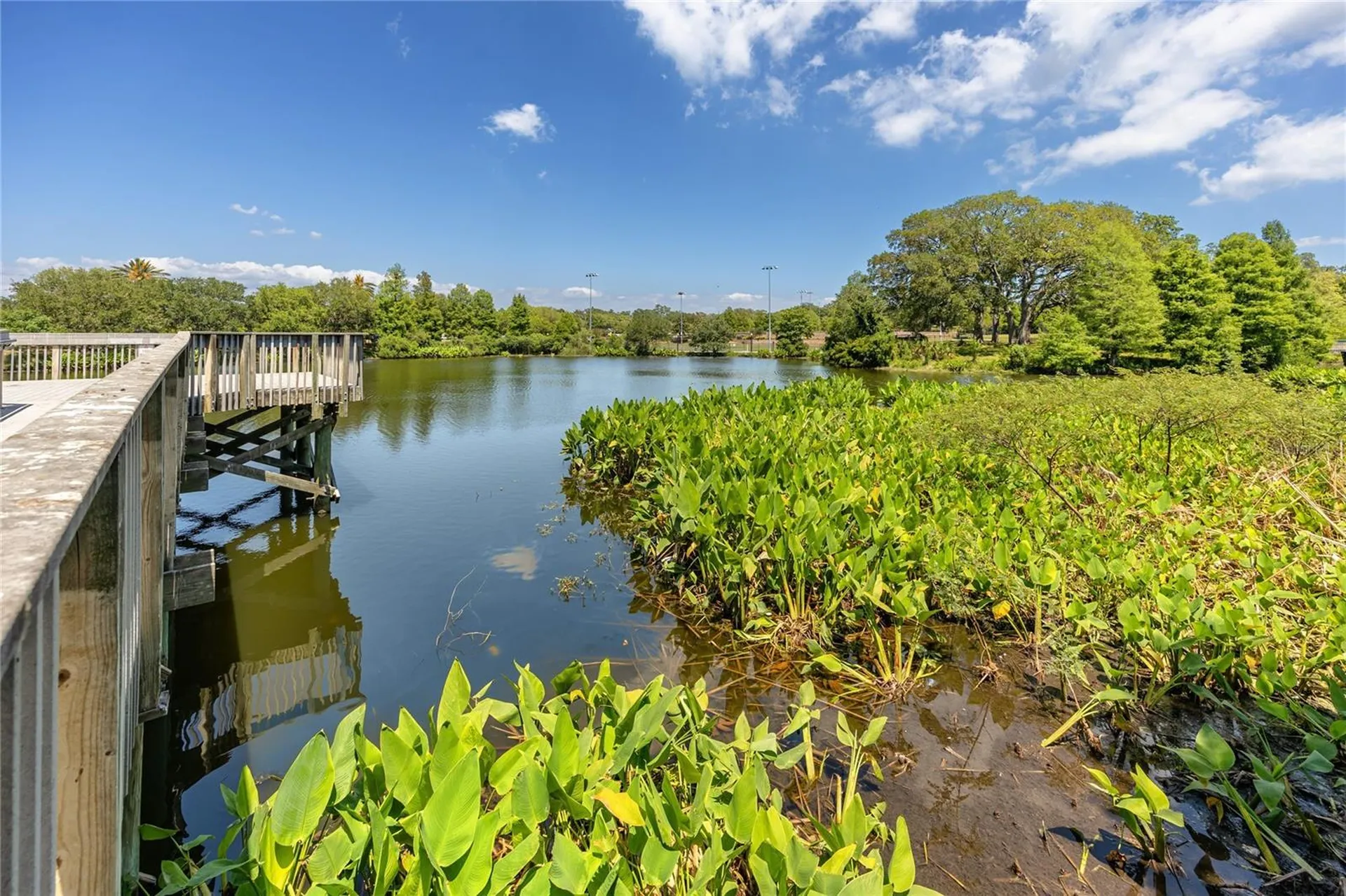 224 Waverly Way Clearwater FL 33756