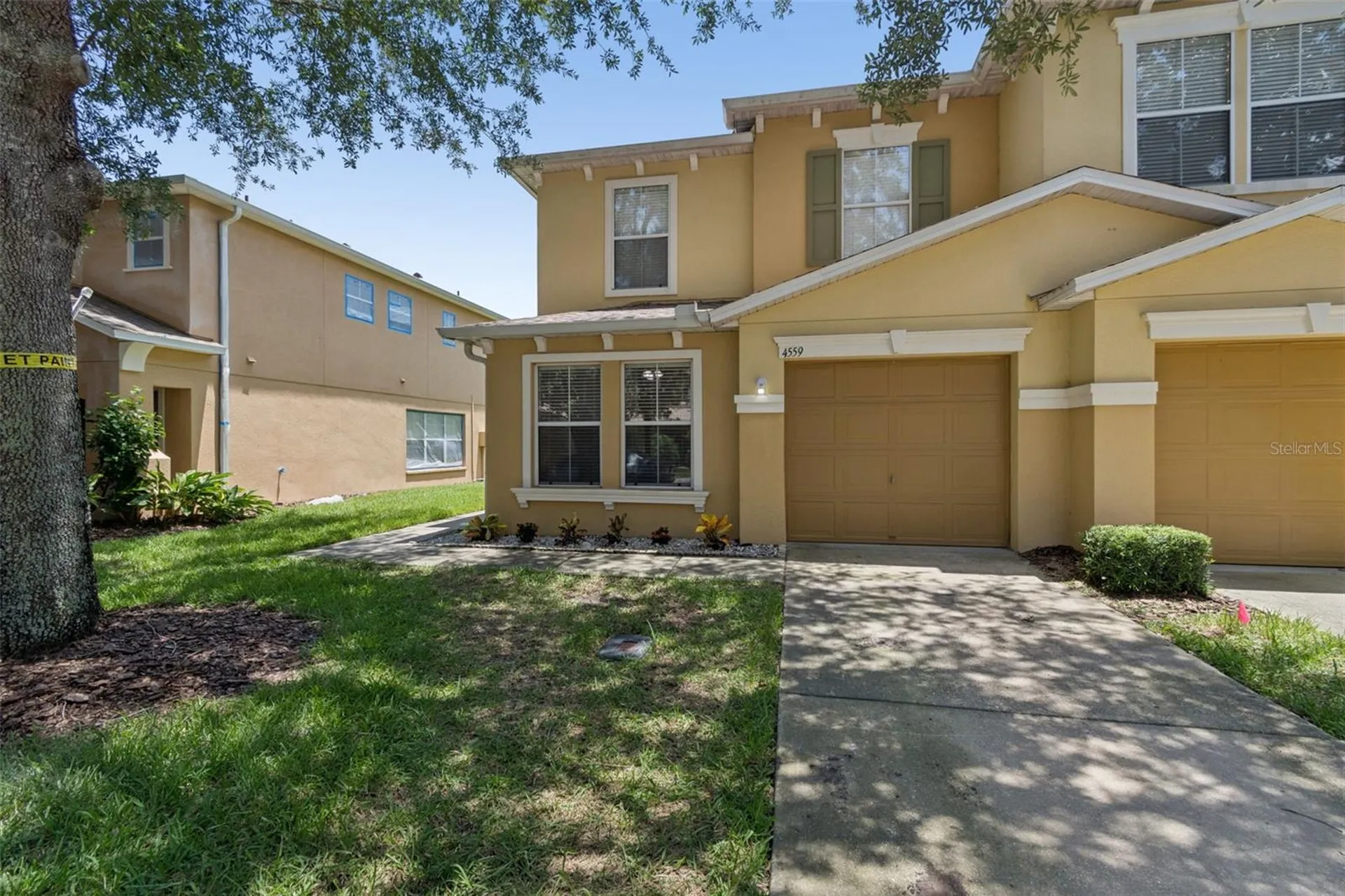 4559 Limerick Drive Tampa FL 33610