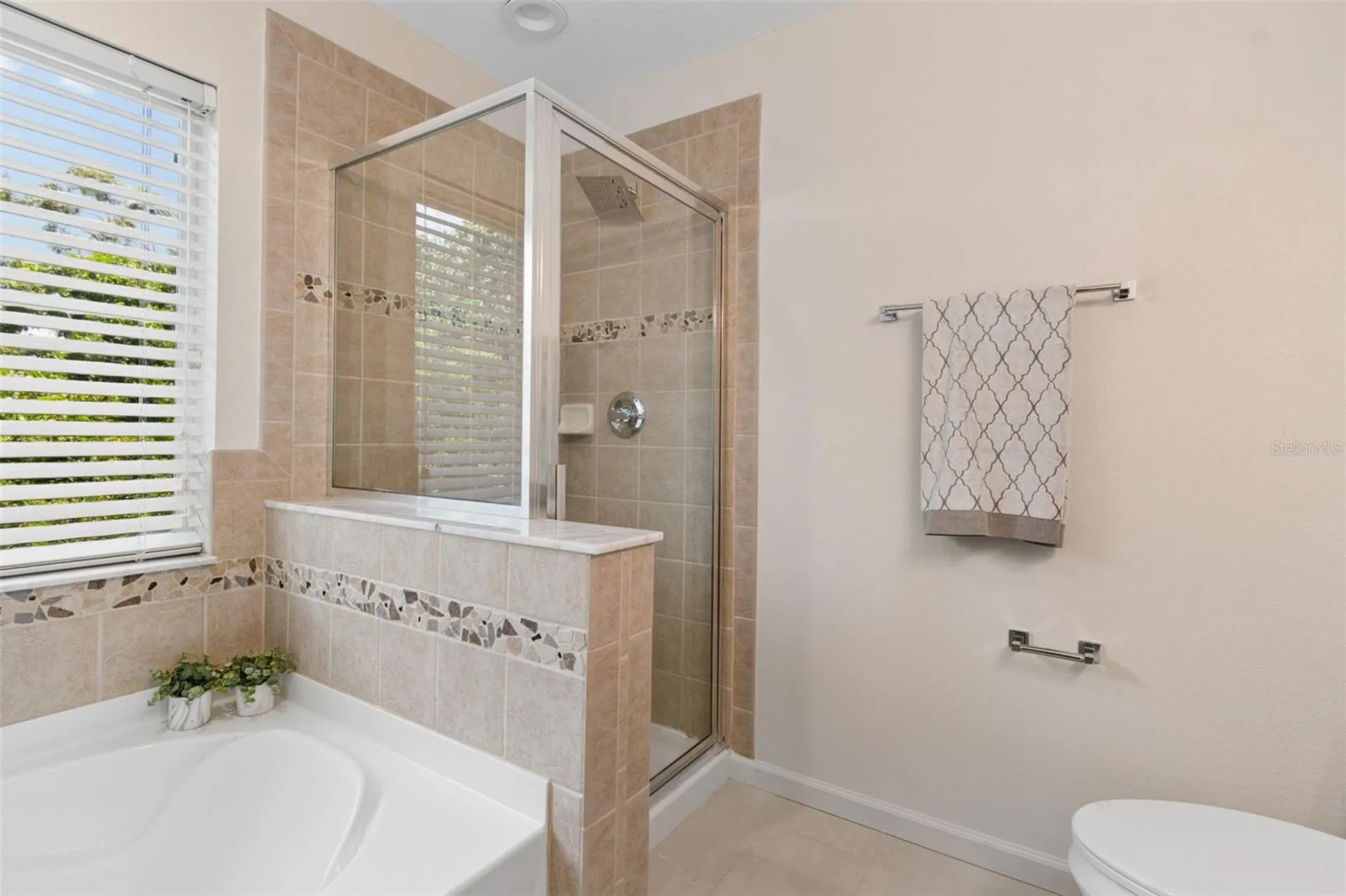 4559 Limerick Drive Tampa FL 33610