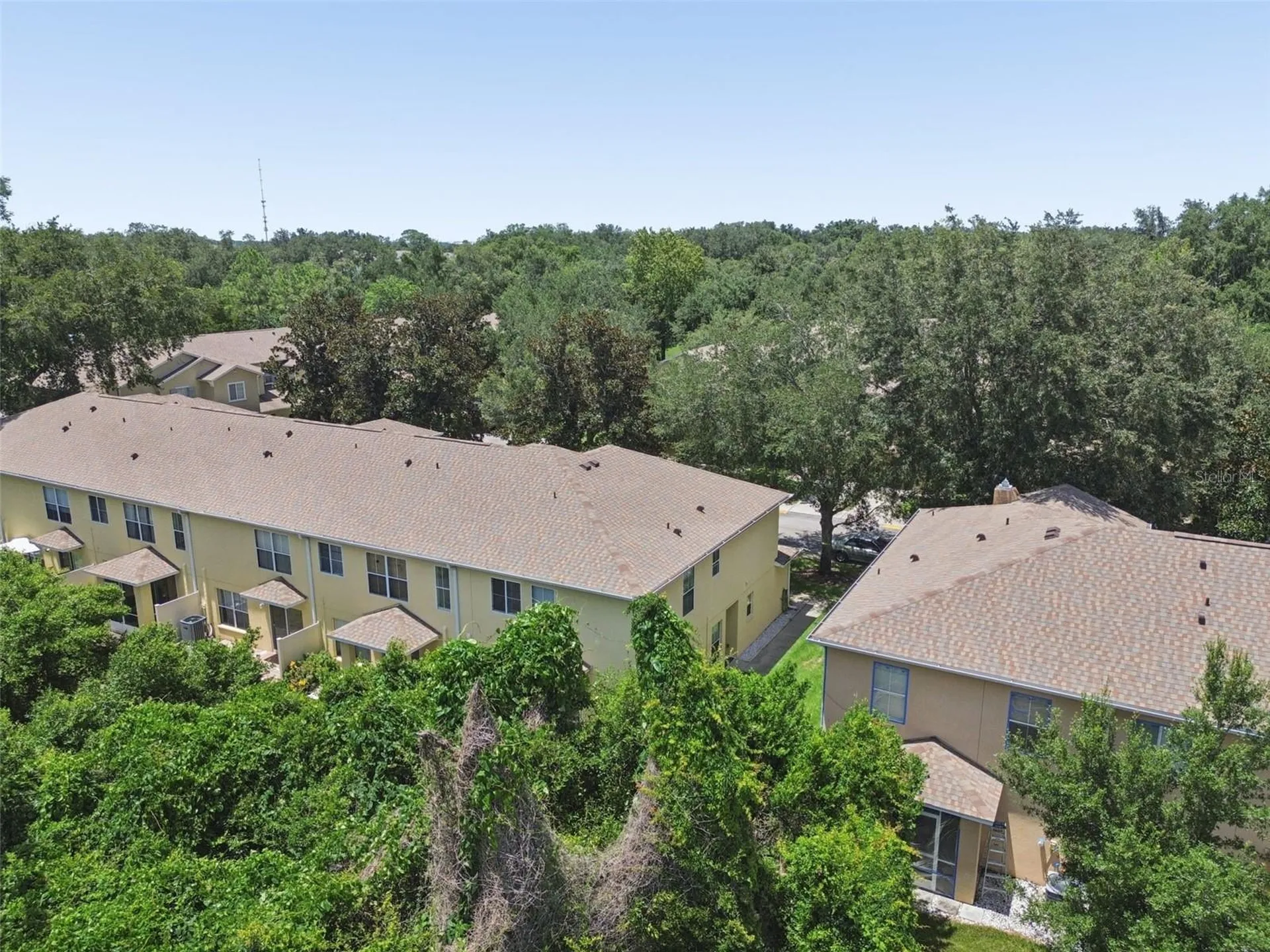 4559 Limerick Drive Tampa FL 33610