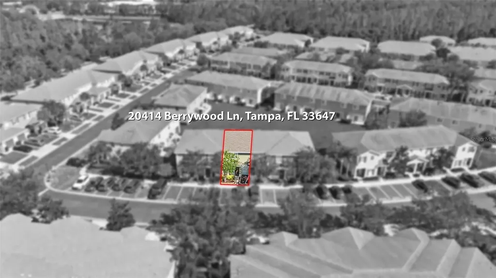20414 Berrywood Lane Tampa FL 33647