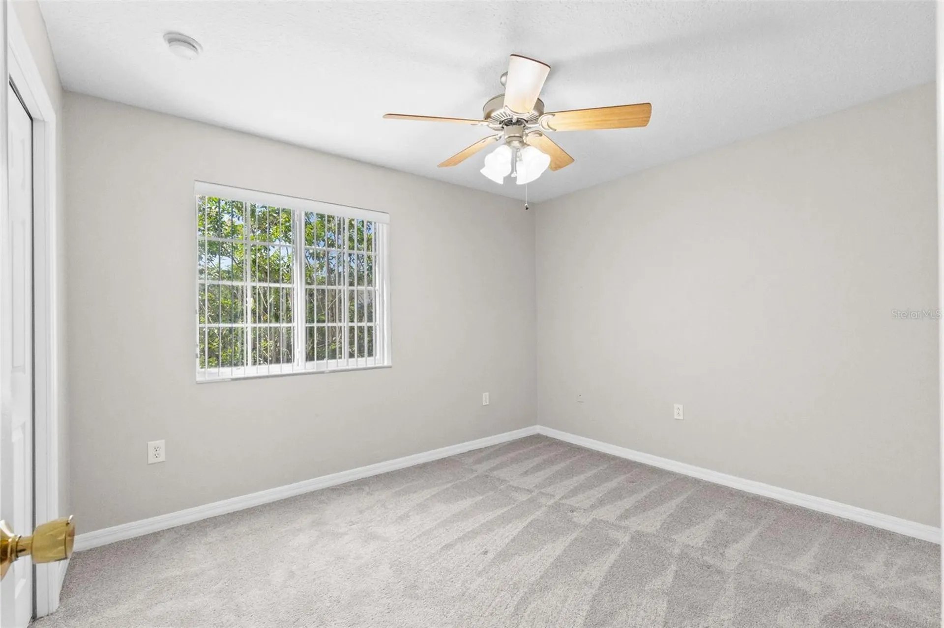 20414 Berrywood Lane Tampa FL 33647