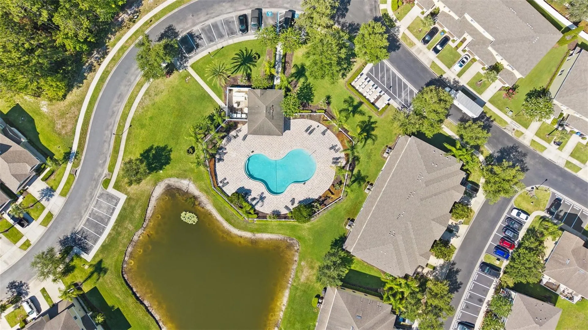 20414 Berrywood Lane Tampa FL 33647
