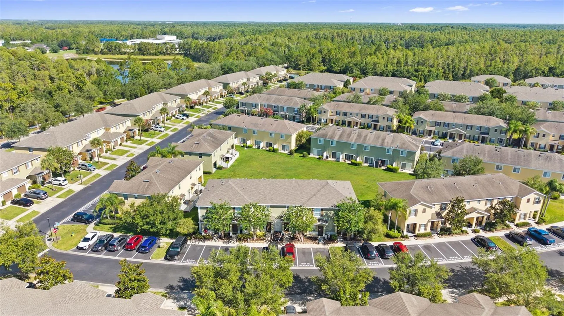 20414 Berrywood Lane Tampa FL 33647