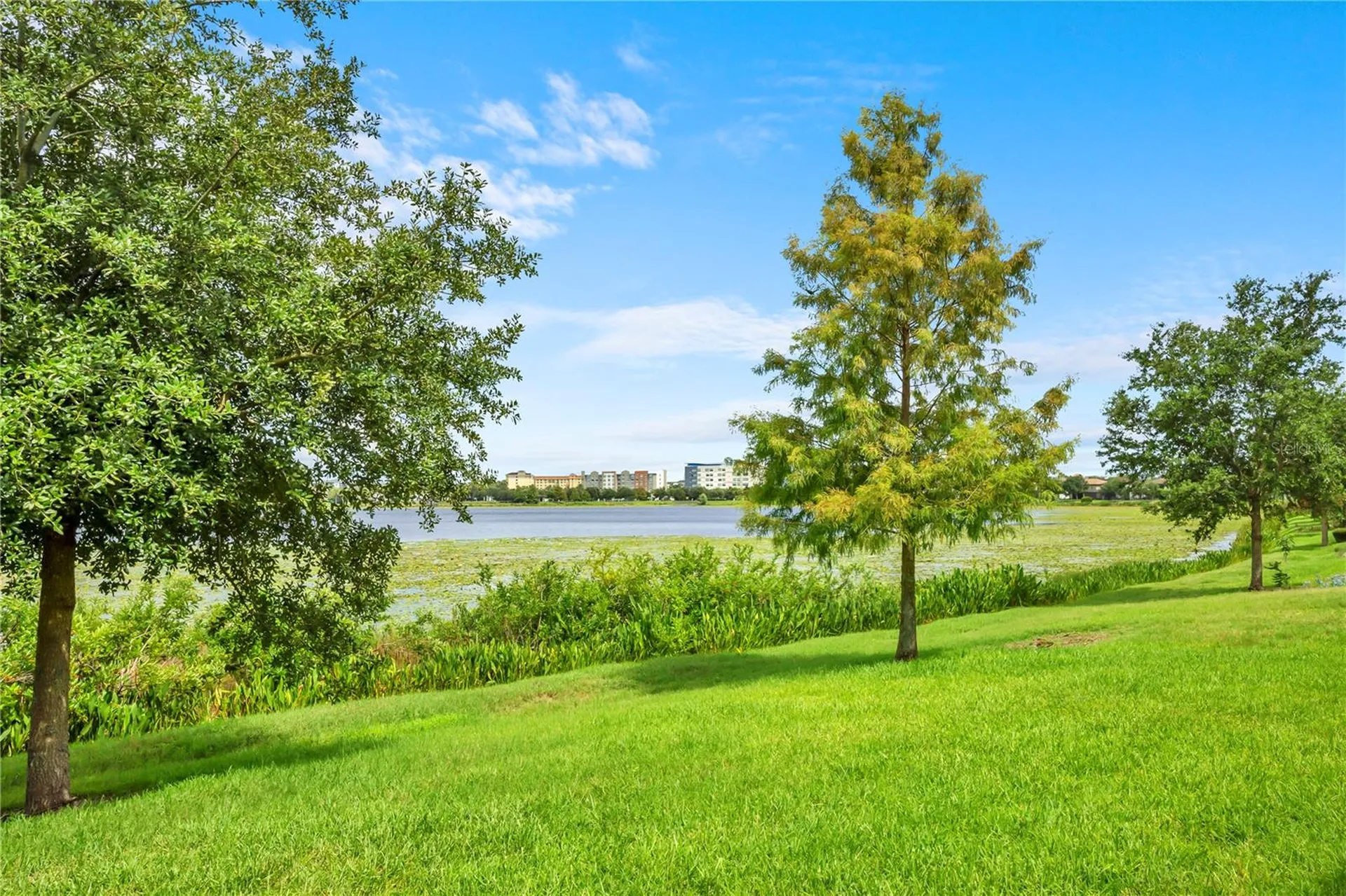 11322 Lemon Lake Boulevard Orlando FL 32836
