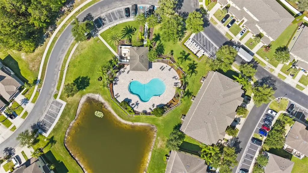 20414 Berrywood Lane Tampa FL 33647