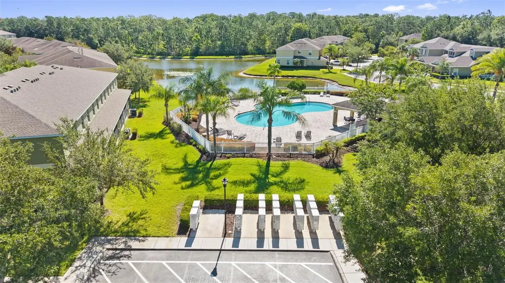 20414 Berrywood Lane Tampa FL 33647