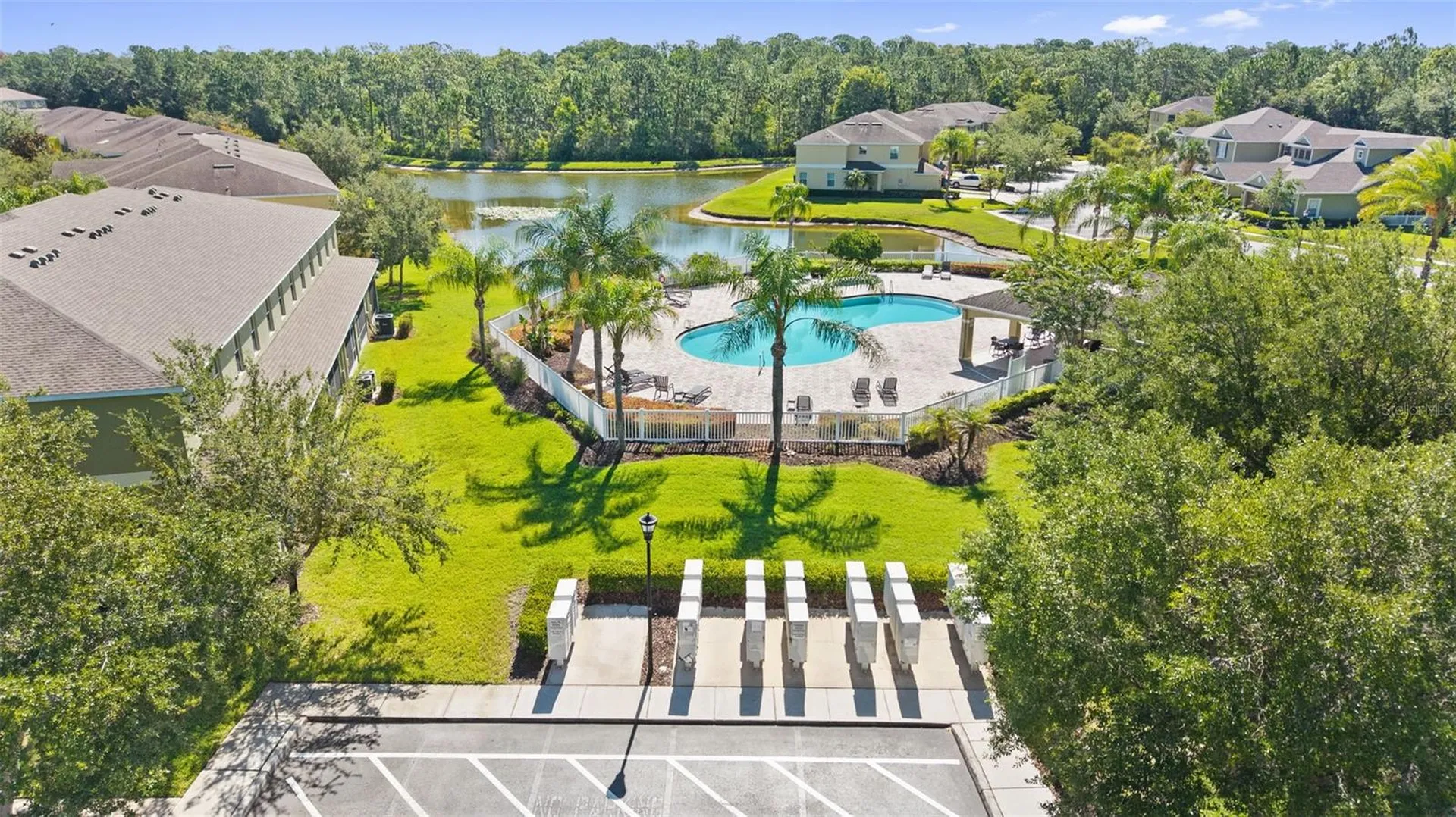 20414 Berrywood Lane Tampa FL 33647